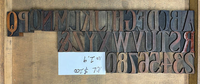 Lot 117 - 10 Line Caslon like Serif Wood Type